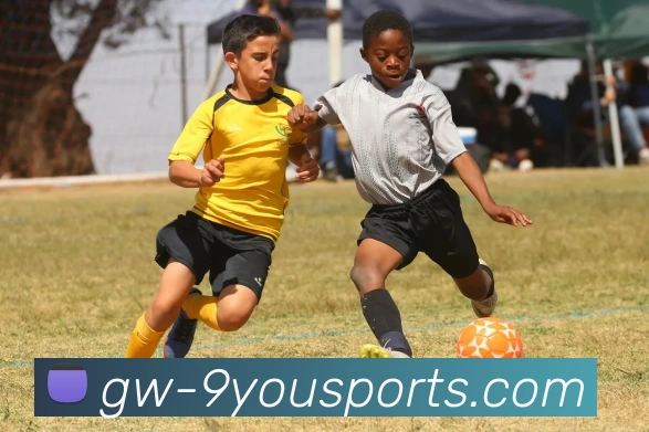 九游体育app下在品牌故事